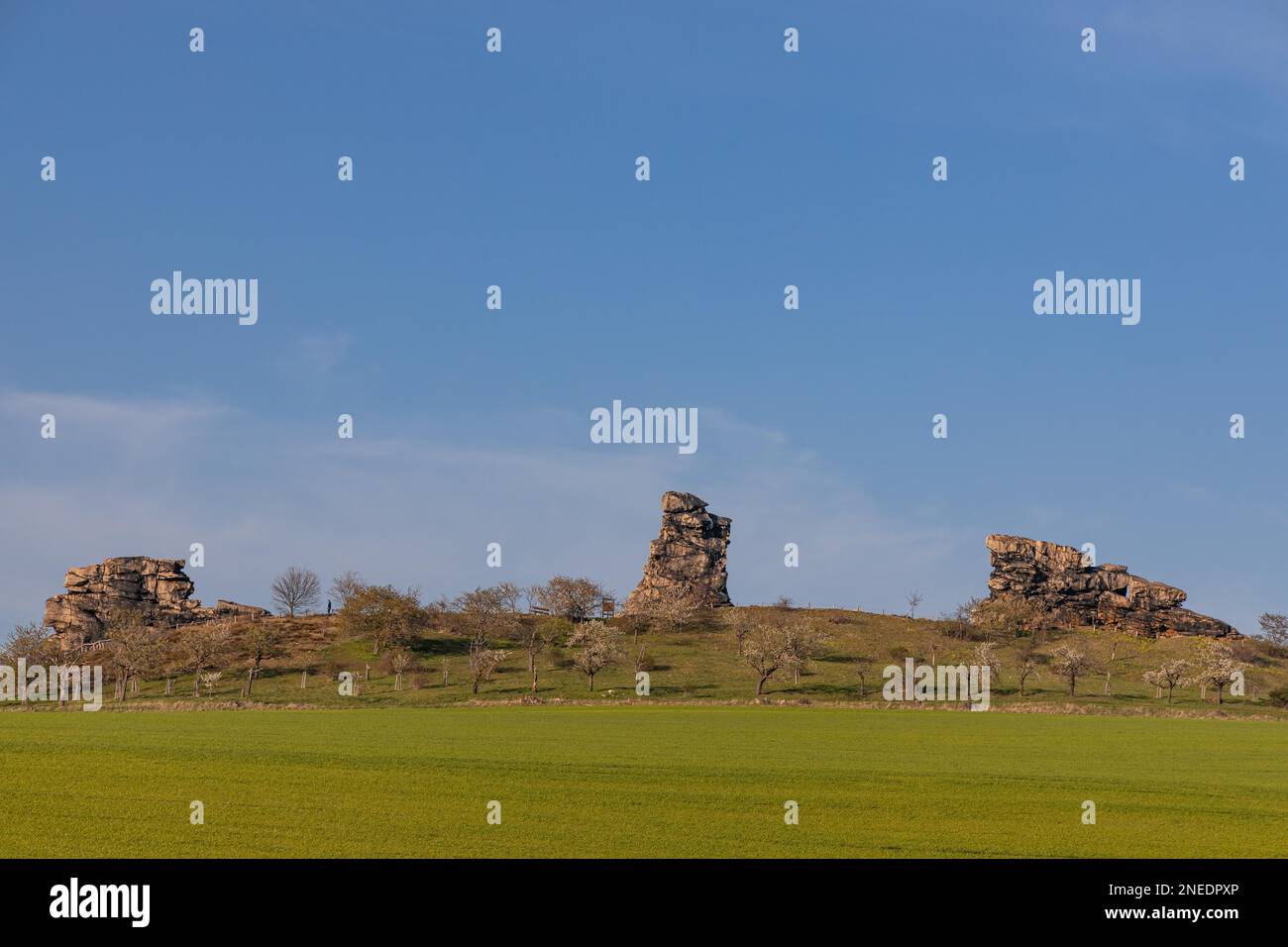 Devil's Wall Naturlandschaft in den Harz Mountains Stockfoto