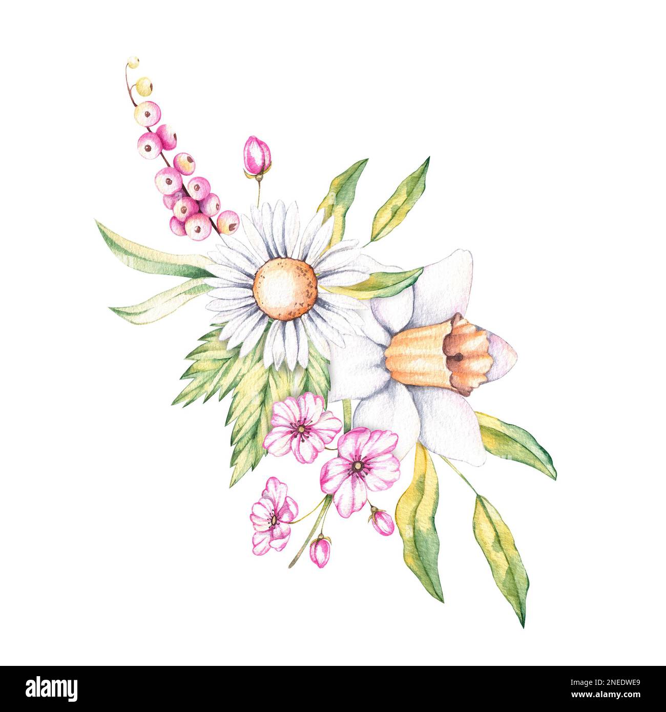 Aquarelle Frühlingsblumen mit Kamille, Narzissen, Apfelblumen auf weißem Hintergrund. Aquarell-Bouquet für das Design von Karten, Logo Stockfoto