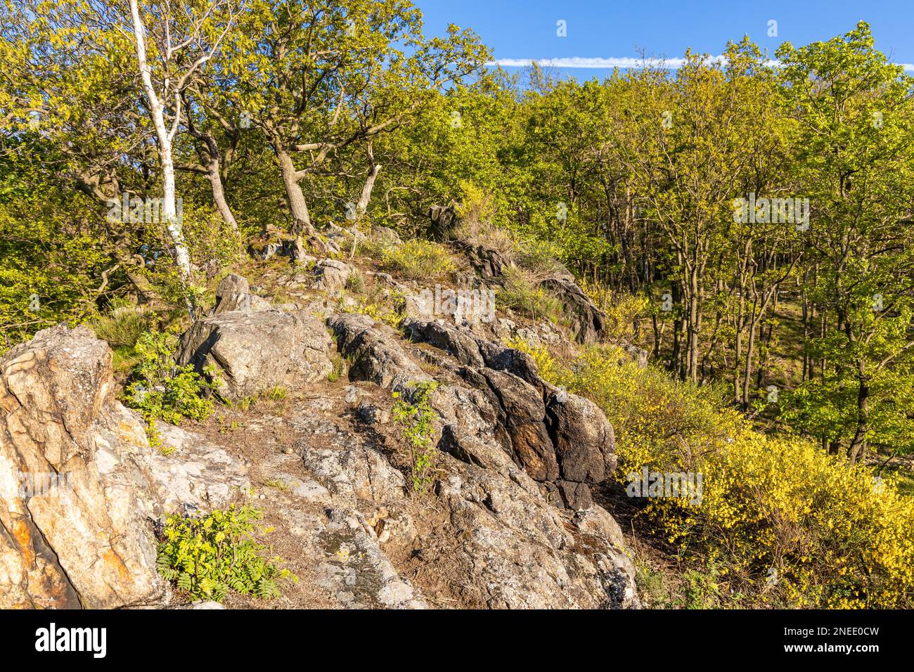 Erleben Sie Naturwanderungen im Harz Bodetal Stockfoto