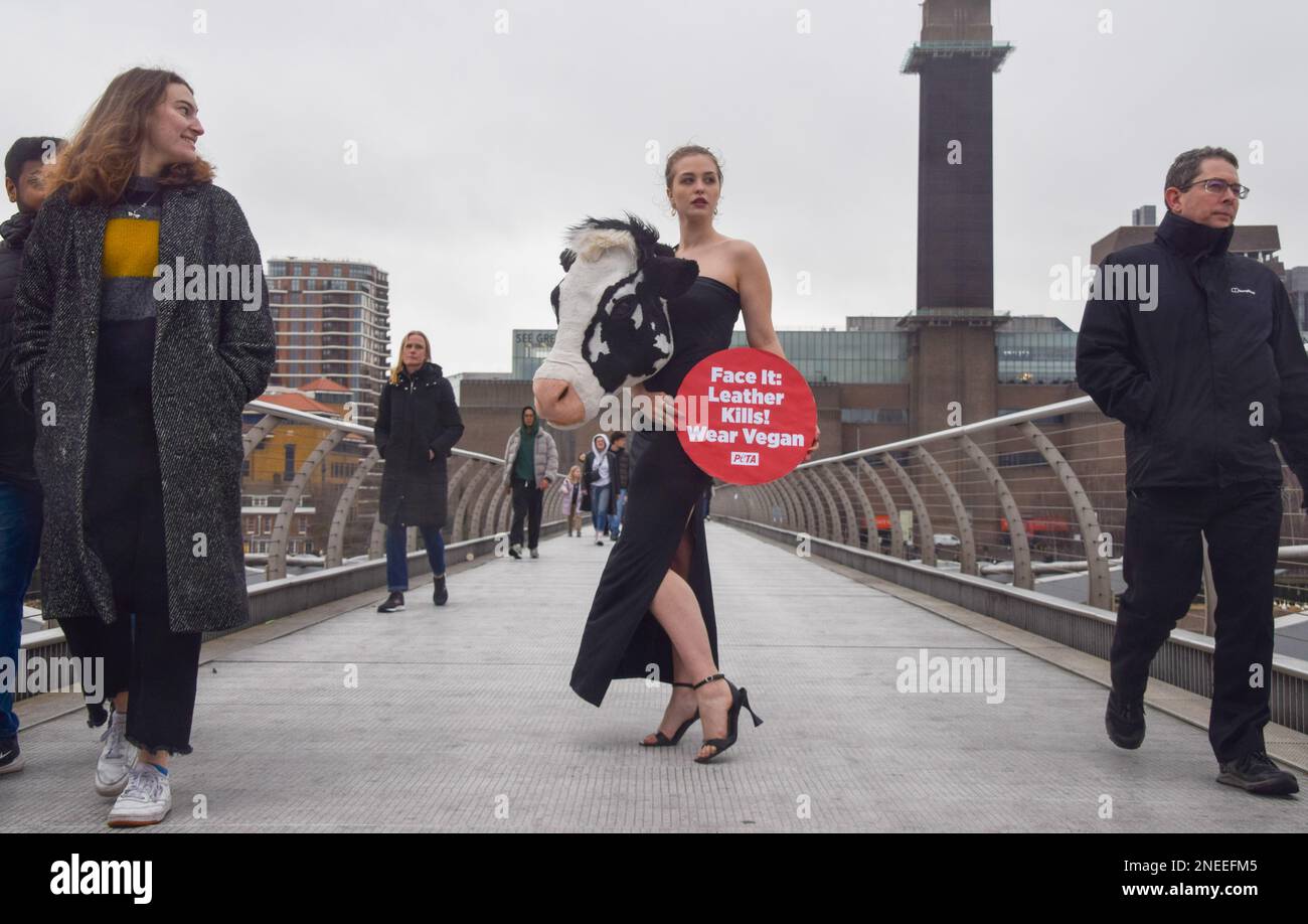 London, Großbritannien. 16. Februar 2023 PETA inszenierte am Vorabend der London Fashion Week einen „Laufsteg“ auf der Millennium Bridge mit einem Modell, das einen künstlichen Kuhkopf im Schiaparelli-Stil trug. Der Stunt soll die Menschen dazu inspirieren, Tierleder loszuwerden, und verweist auf Schiaparellis „Tierköpfe“, die kürzlich auf der Pariser Modewoche viel Kontroversen ausgelöst haben. Kredit: Vuk Valcic/Alamy Live News Stockfoto
