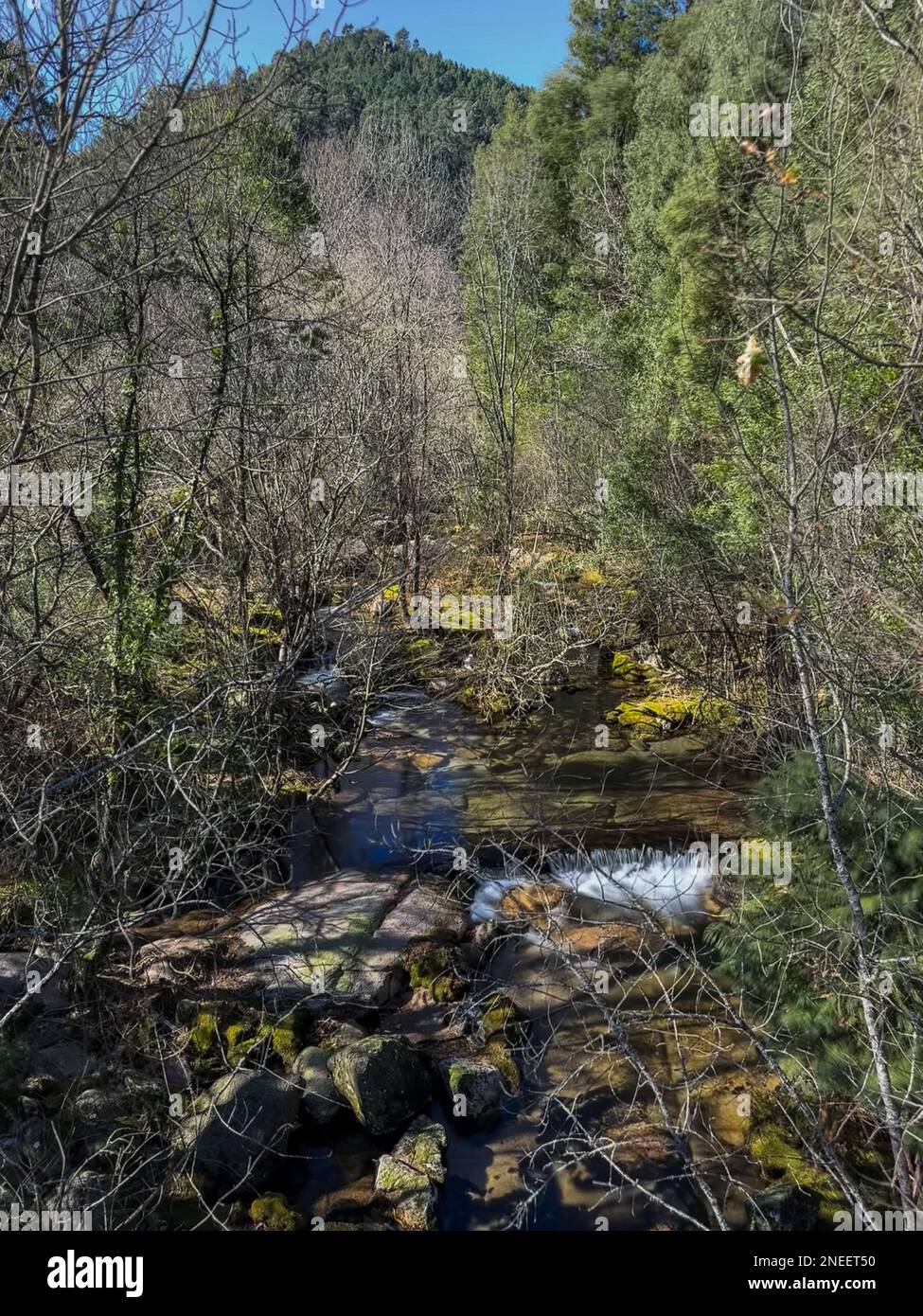 Wasserlauf in der Nähe des Wasserfalls Fecha de Barjas (auch bekannt als Tahiti-Wasserfall) in den Bergen des Peneda-Geres-Nationalparks, Portugal. Stockfoto