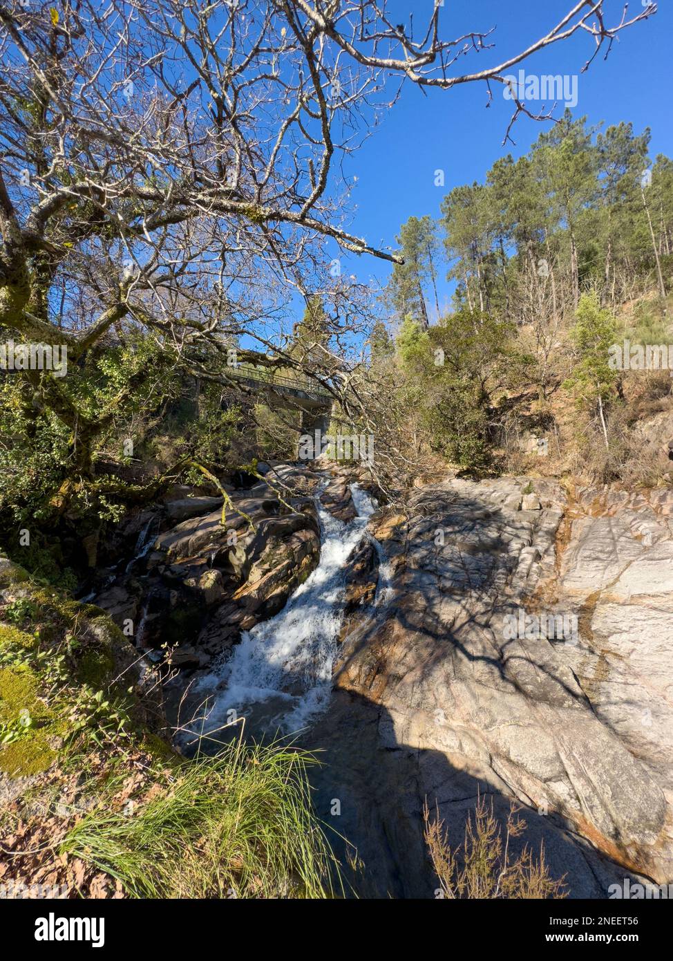 Wasserlauf in der Nähe des Wasserfalls Fecha de Barjas (auch bekannt als Tahiti-Wasserfall) in den Bergen des Peneda-Geres-Nationalparks, Portugal. Stockfoto