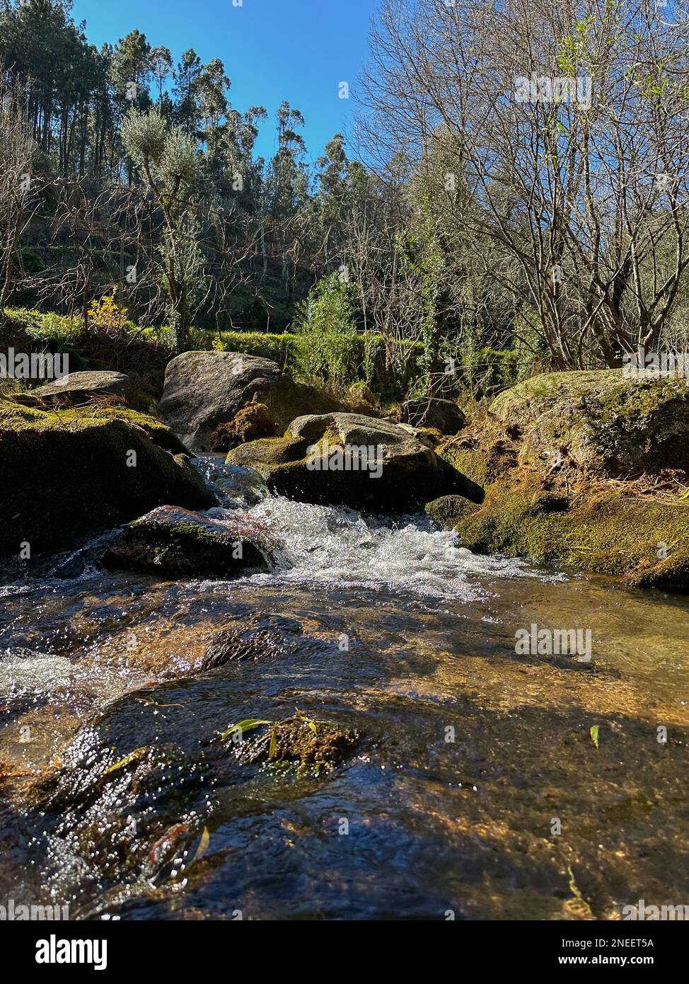 Wasserlauf in der Nähe des Wasserfalls Fecha de Barjas (auch bekannt als Tahiti-Wasserfall) in den Bergen des Peneda-Geres-Nationalparks, Portugal. Stockfoto
