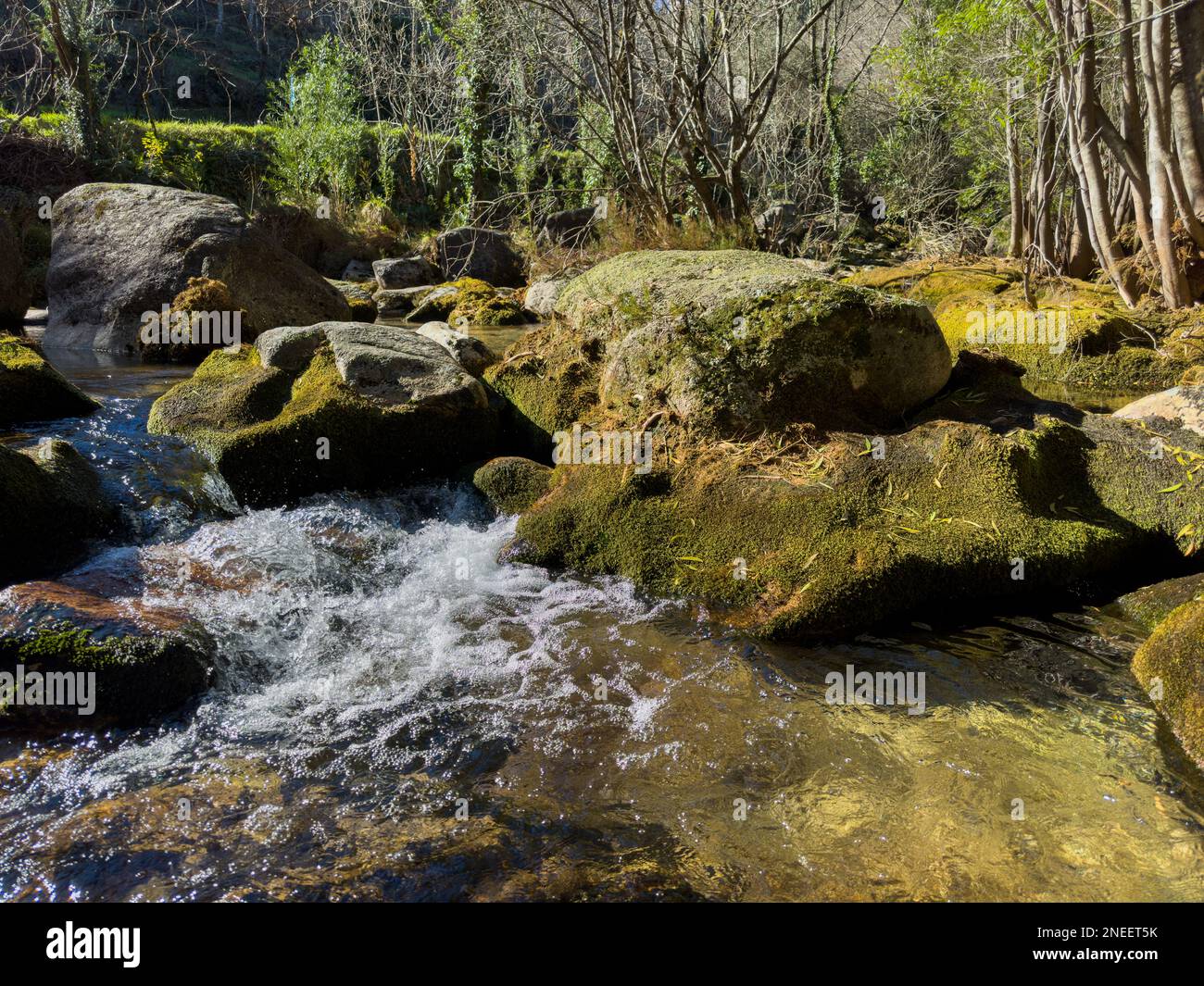 Wasserlauf in der Nähe des Wasserfalls Fecha de Barjas (auch bekannt als Tahiti-Wasserfall) in den Bergen des Peneda-Geres-Nationalparks, Portugal. Stockfoto