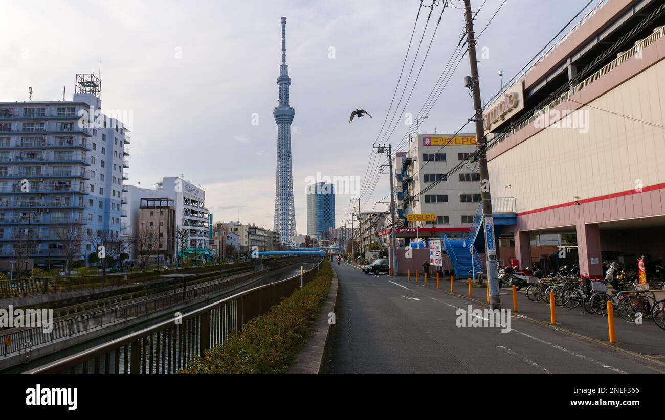 Ein Blick auf den Tokyo Skytree in der Ferne Japans. Stockfoto