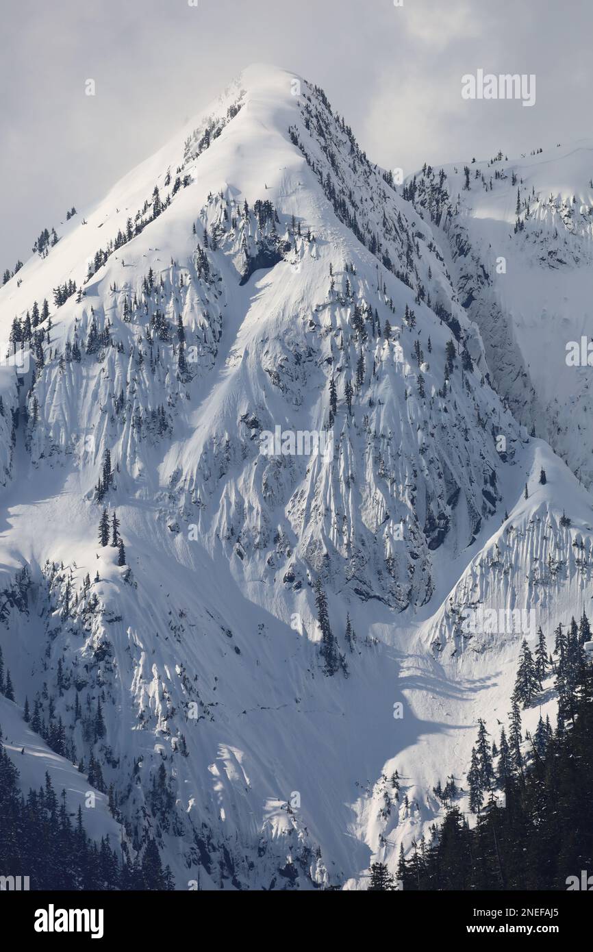 Avalanche Mountain - Fraser Valley - British Columbia, Kanada Stockfoto