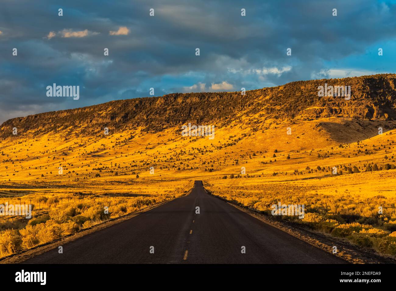 Ein goldenes Ende des Tages im Oktober an der State Route 205 in der Nähe von Steens Mountain in Harney County, Oregon, USA Stockfoto