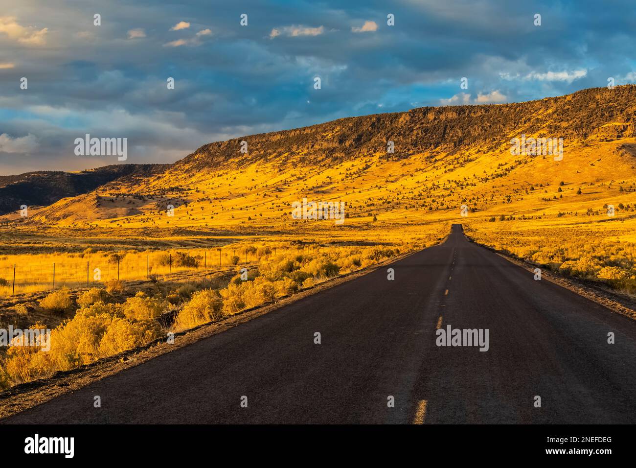 Ein goldenes Ende des Tages im Oktober an der State Route 205 in der Nähe von Steens Mountain in Harney County, Oregon, USA Stockfoto