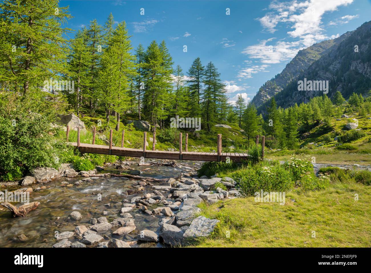 Die Fußgängerbrücke in der Landschaft am Lago d Arpy See. Stockfoto
