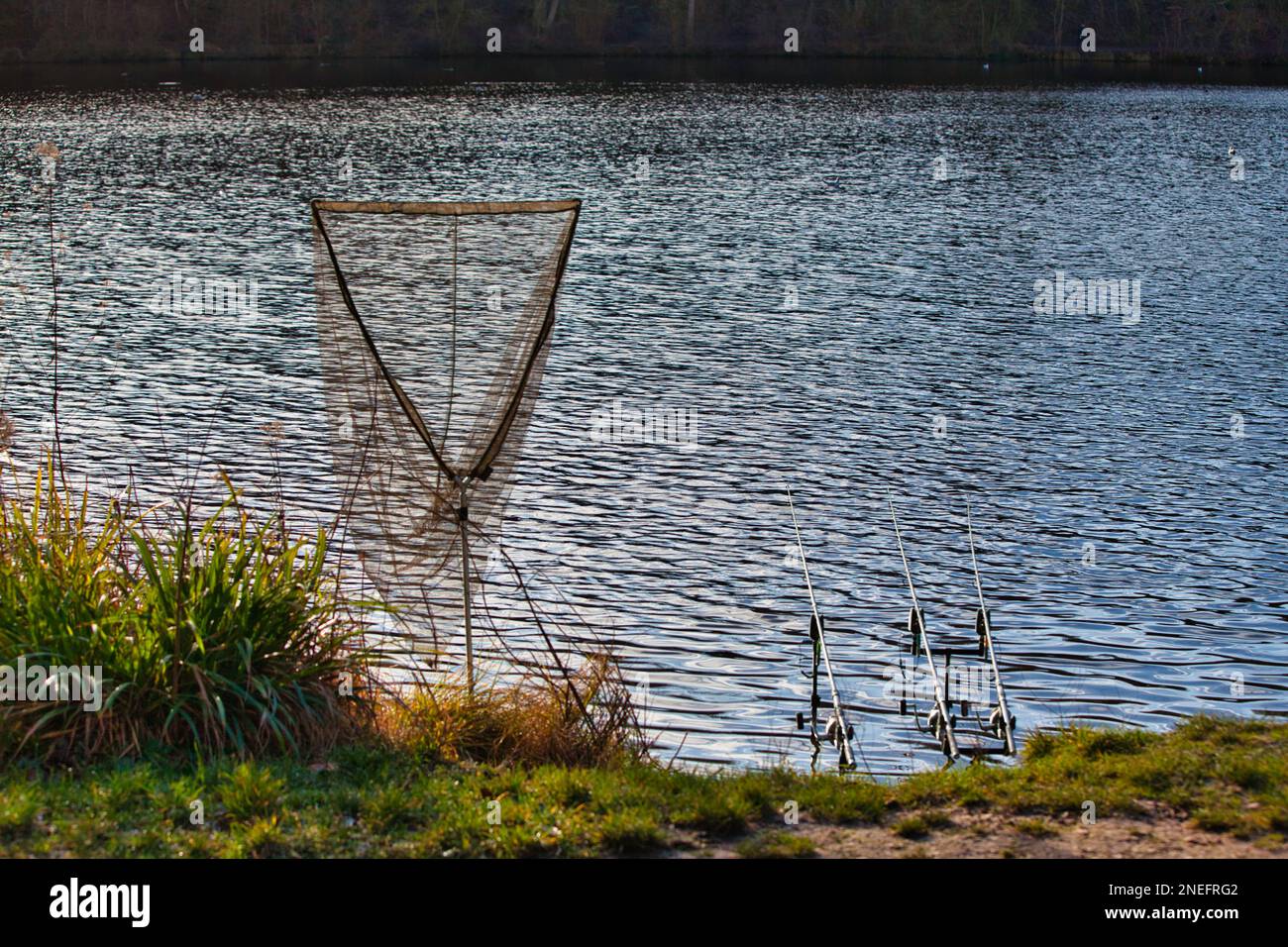 Handnetz und drei Angelruten am Rand eines Teiches. Stockfoto