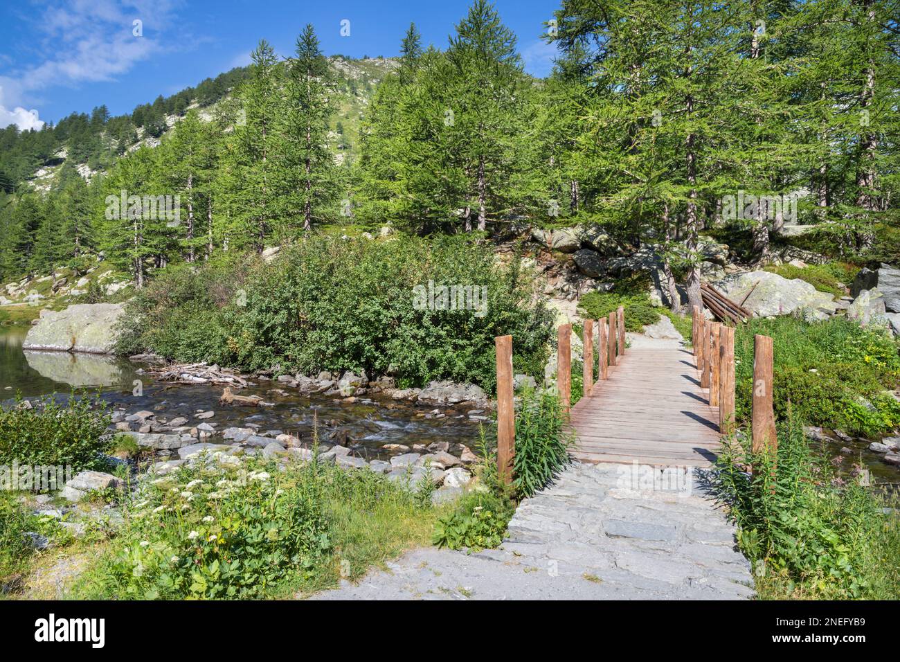 Die Fußgängerbrücke in der Landschaft am Lago d Arpy See. Stockfoto