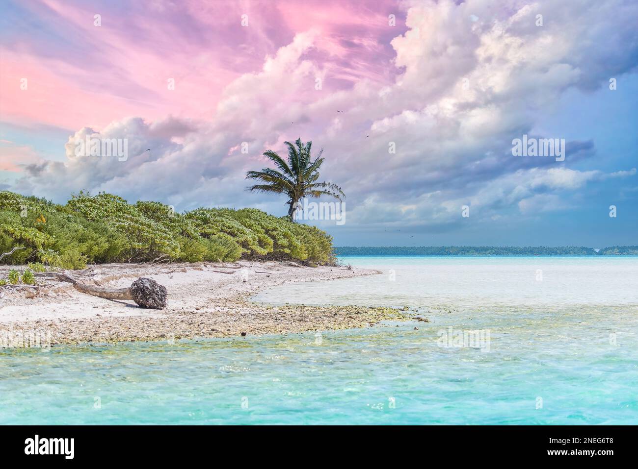 Bora Bora, paradiesische Insel Strandpalmen und klares türkisfarbenes Meerwasser in Französisch-Polynesien, mit Kokosnussbaum Stockfoto