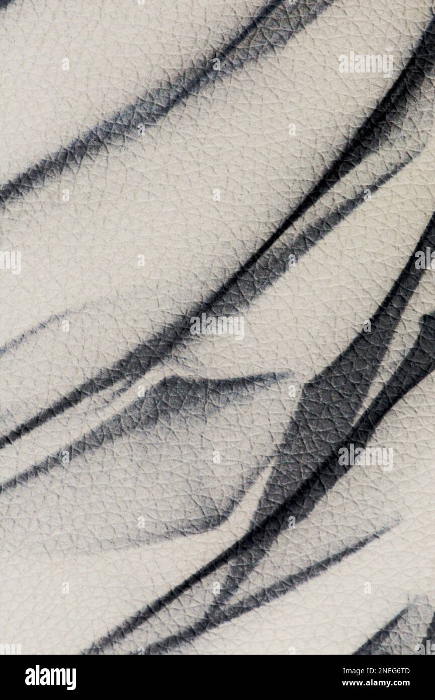 Die Hintergrundstruktur besteht aus geprägtem Leder oder Kunstleder mit Schattenbildern im