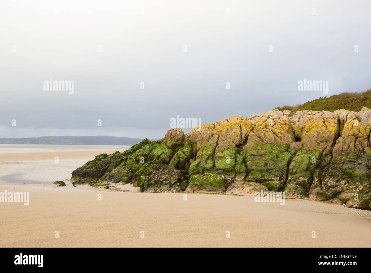 Kalksteinfelsen am Ufer der Morecambe Bay in der Nähe von Jenny Brown's Point, bedeckt mit Algen, Algen und Flechten. Morecambe Bay ist bekannt für seine Sonne Stockfoto