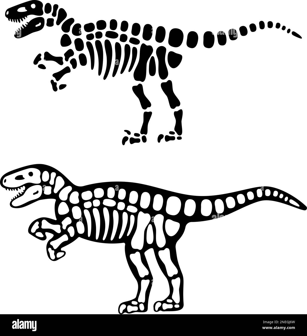 Velociraptor-Knochen und Schädel. Velociraptor-Skelett. Prähistorische Tiersilhouette. Paläontologie und Archäologie. Prähistorische Kreatur Knochen Stock Vektor