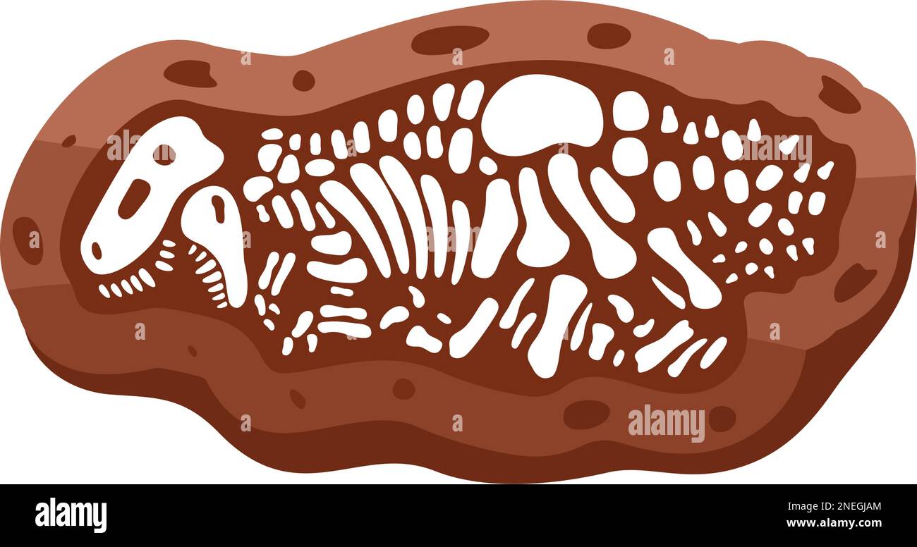 Tyrannosaurus-Fossilien-Skelett. Tyrannosaurus-Fossilienknochen. Dinosaurierskelett. Dinosaurierknochen mit Schädel. Paläontologie und Archäologie. Stock Vektor