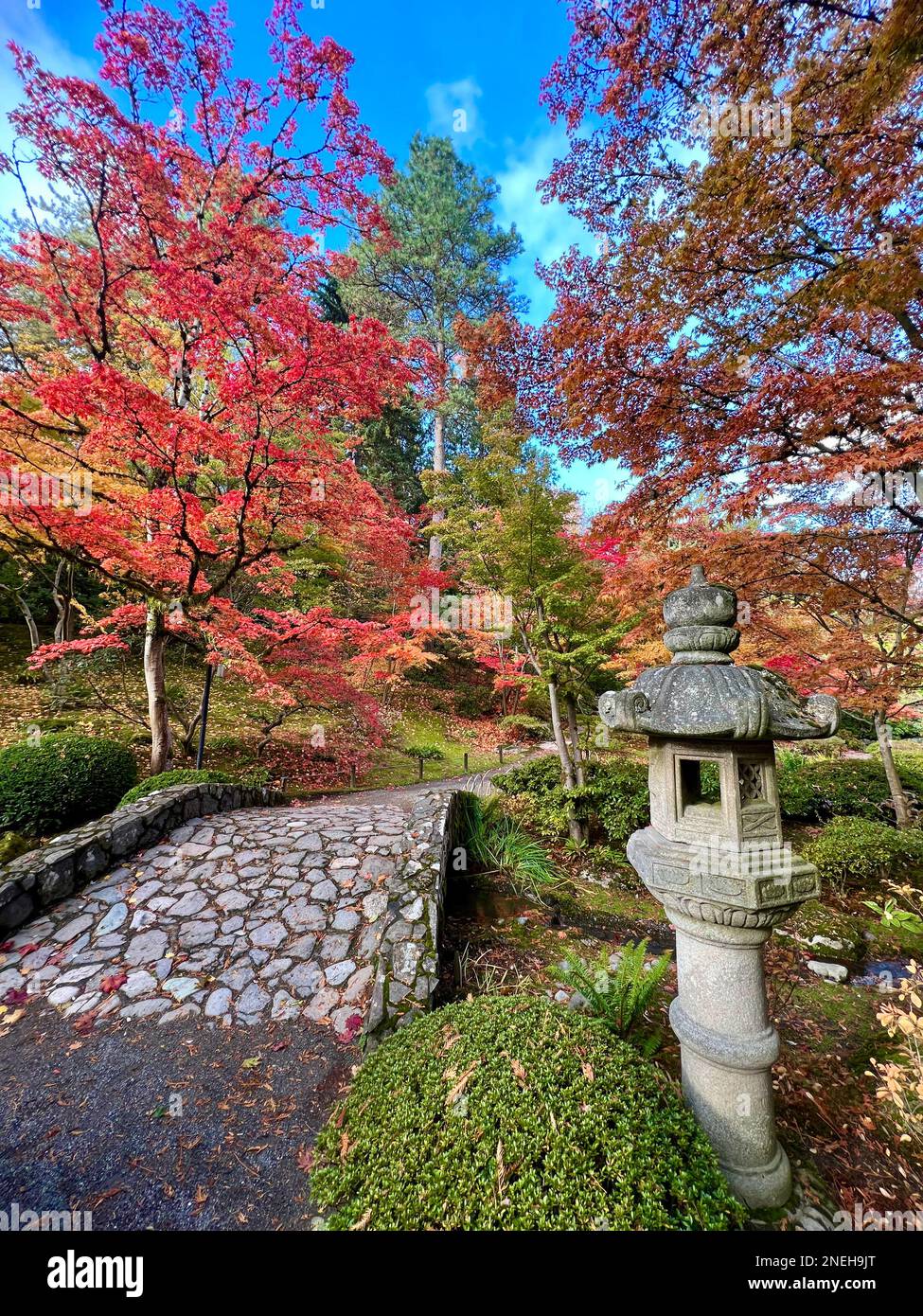 Seattle Japanese Garden im Herbst 2022 Stockfoto