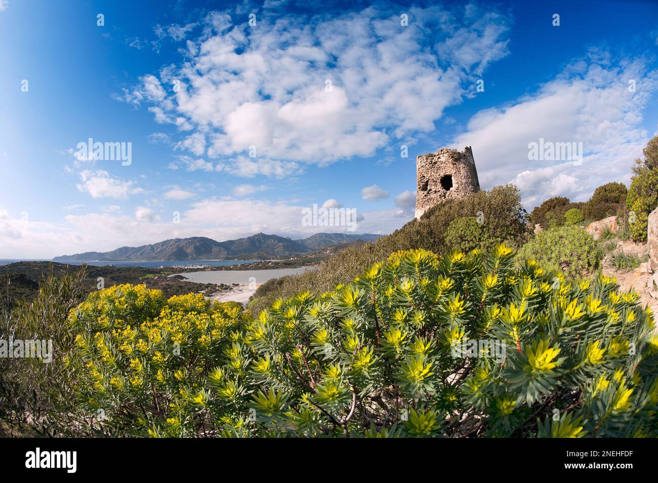 Der Küstenturm von Porto Giunco in der Vegetation, Villasimius, Sardinien. Stockfoto