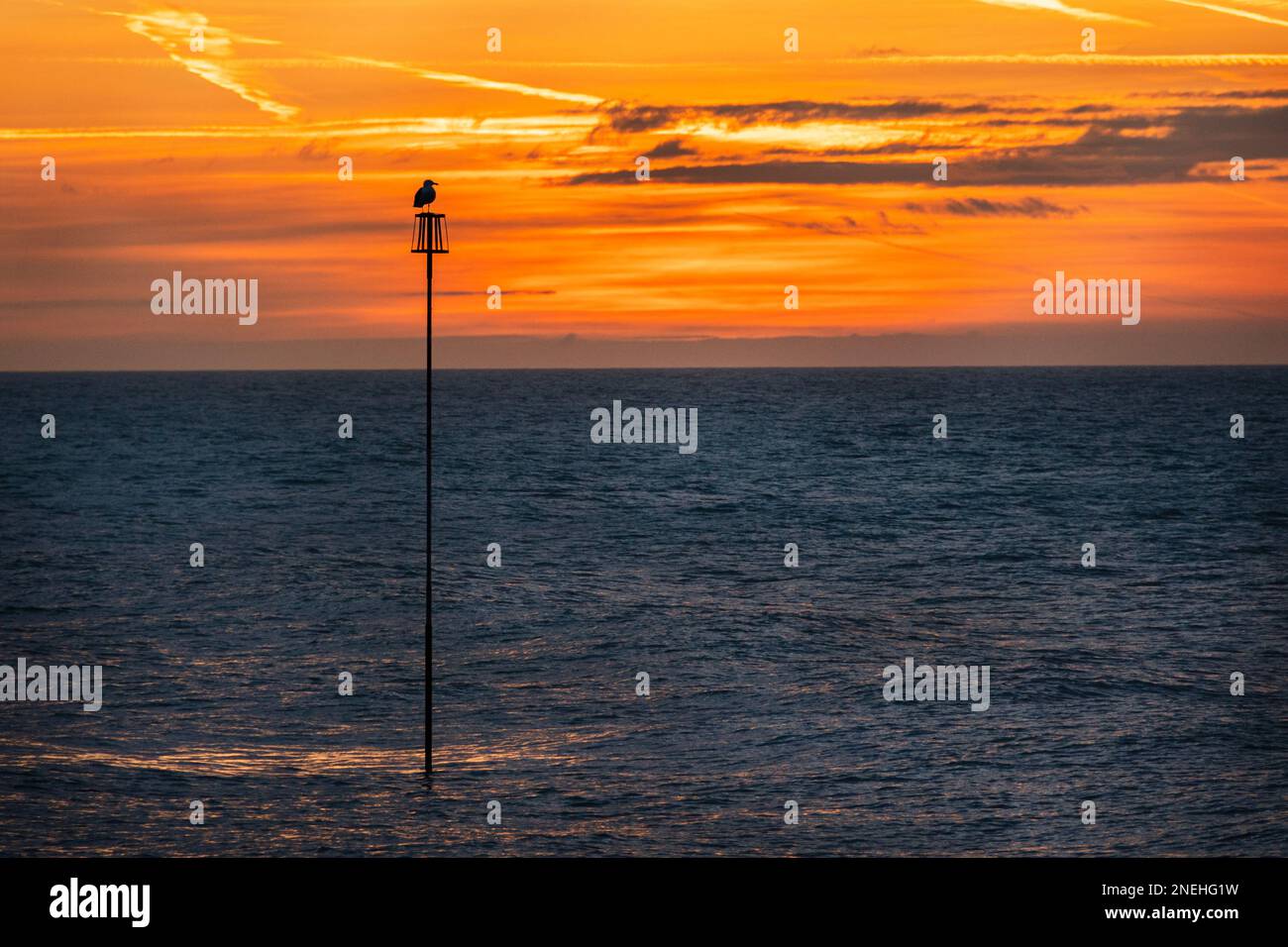 Orangener Himmel über Worthing, West Sussex im Winter mit einem Vogel in Silhouette auf einem Pfosten Stockfoto