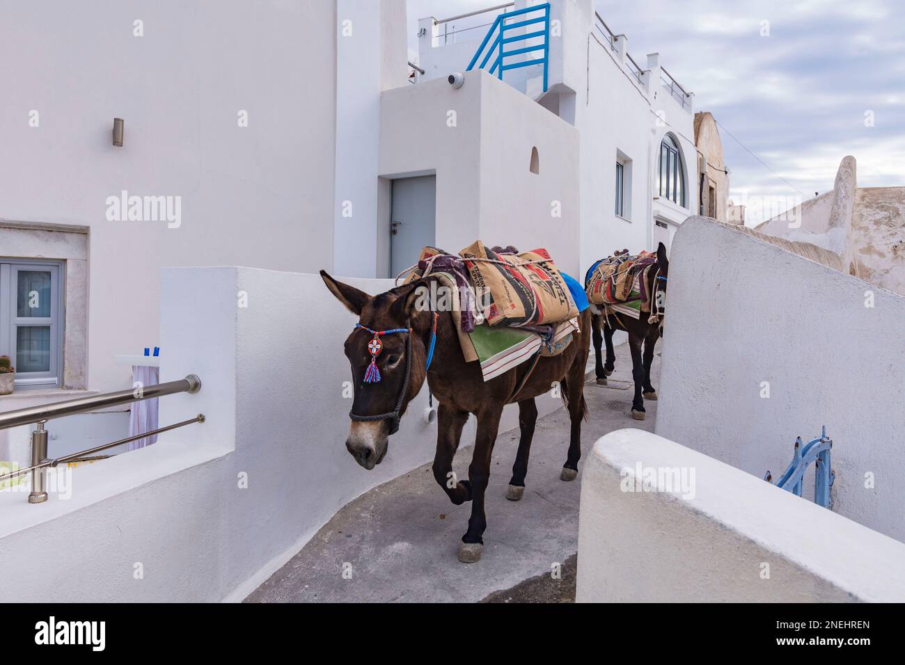 Esel mit Baumaterial, Santorini Stockfoto