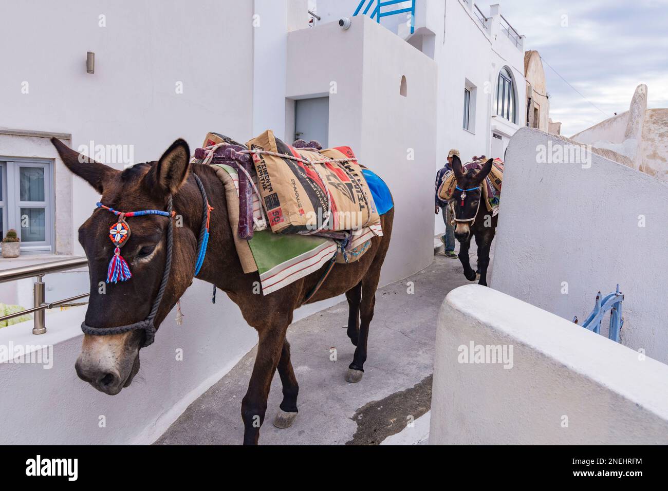 Esel mit Baumaterial, Santorini Stockfoto