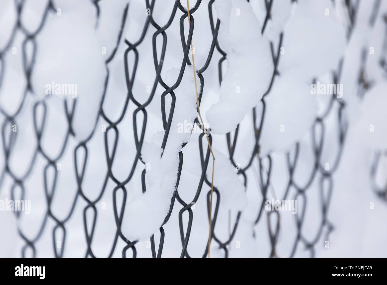 Verschneiter Rabitzzaun aus Metall, abstraktes Foto mit selektivem Weichzeichner Stockfoto