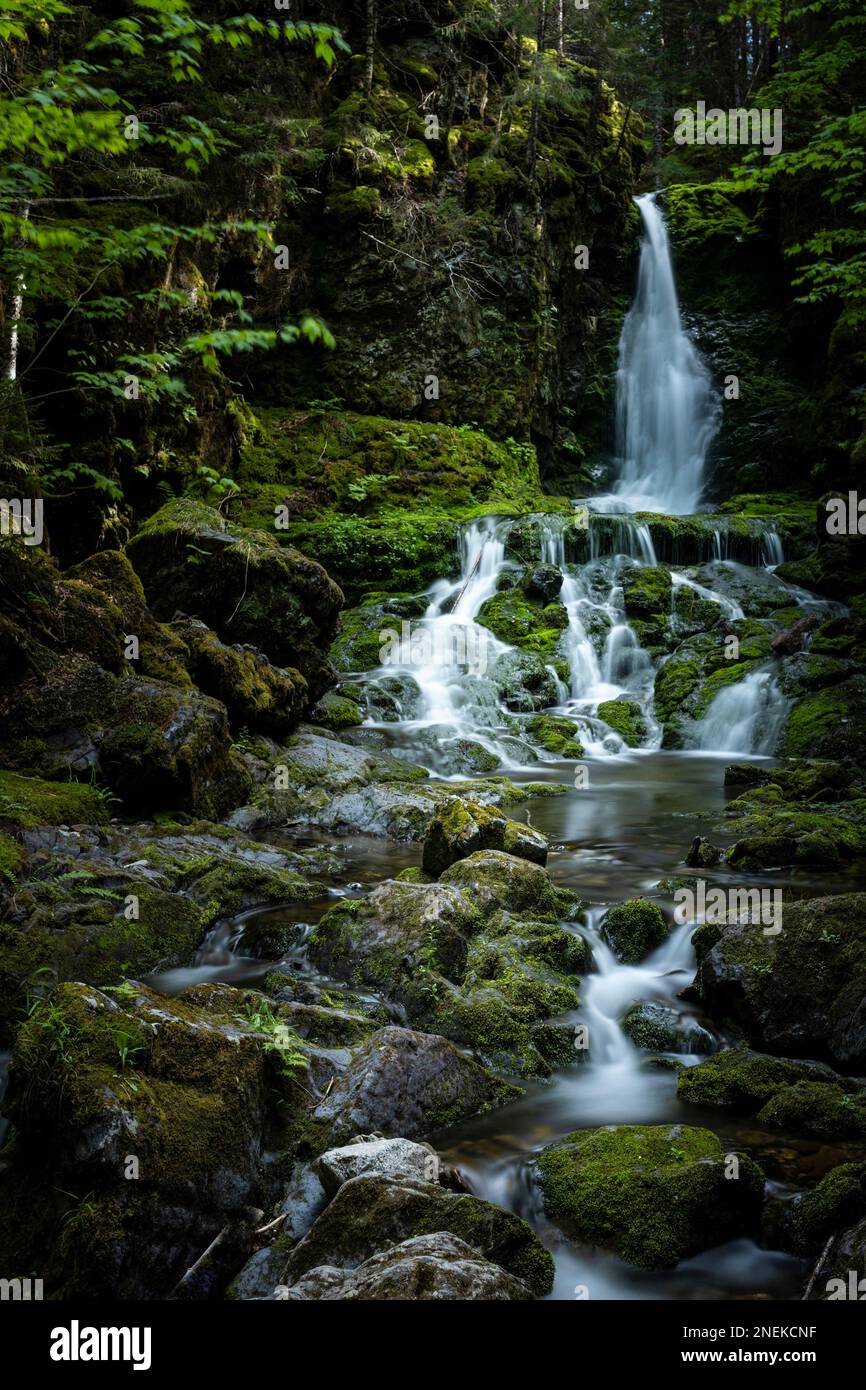 Ein vertikales Bild der Dickson Falls im üppigen Wald in New Brunswick, Kanada Stockfoto