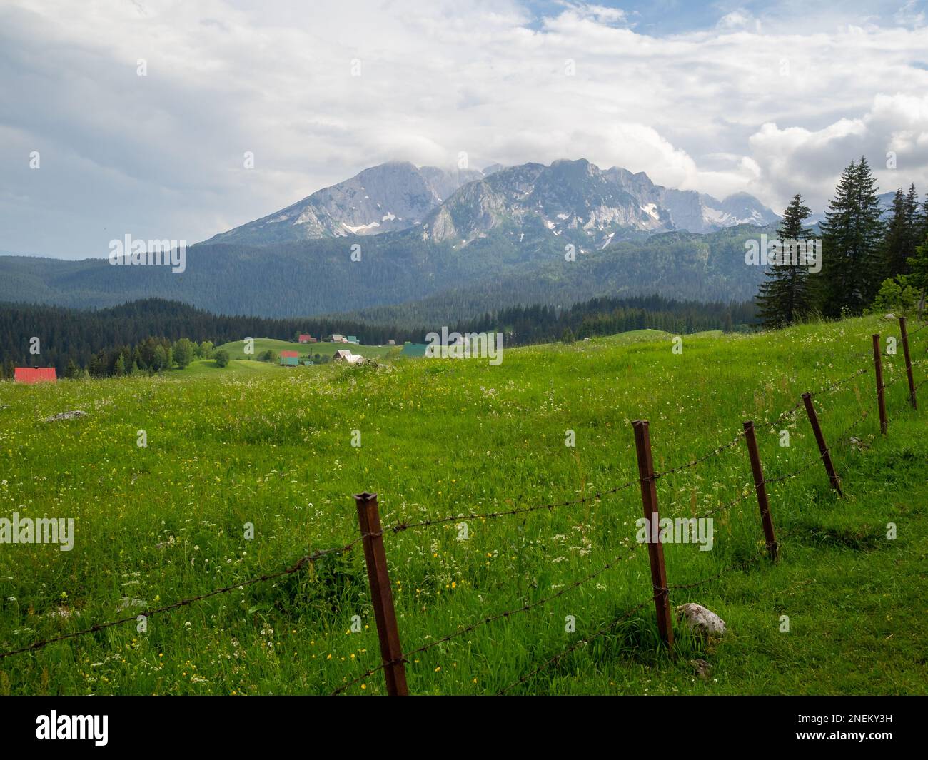 Frühlingslandschaft im Durmitor-Nationalpark Stockfoto