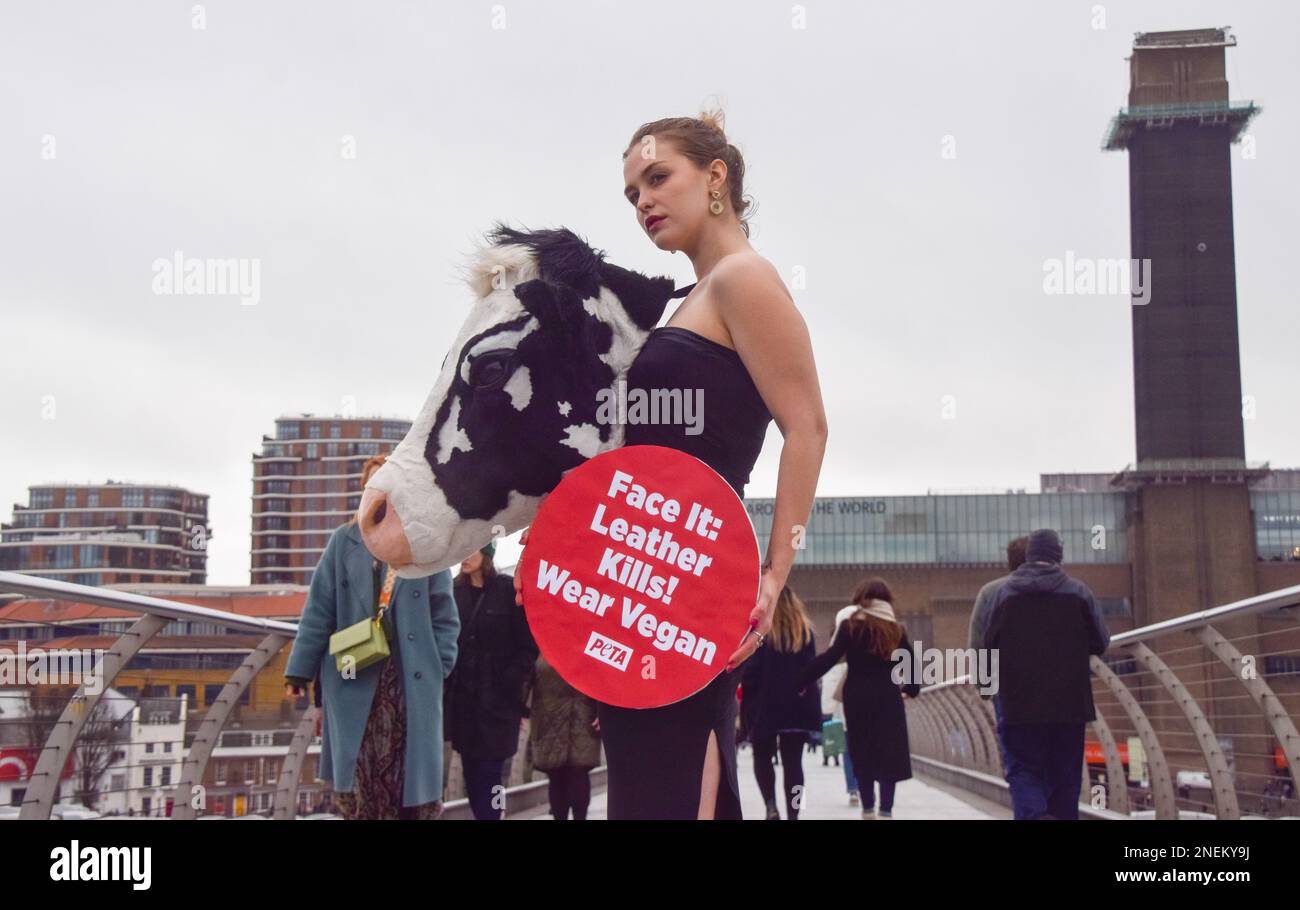 London, Großbritannien. 16. Februar 2023 PETA inszenierte am Vorabend der London Fashion Week einen „Laufsteg“ auf der Millennium Bridge mit einem Modell, das einen künstlichen Kuhkopf im Schiaparelli-Stil trug. Der Stunt soll die Menschen dazu inspirieren, Tierleder loszuwerden, und verweist auf Schiaparellis „Tierköpfe“, die kürzlich auf der Pariser Modewoche viel Kontroversen ausgelöst haben. Stockfoto