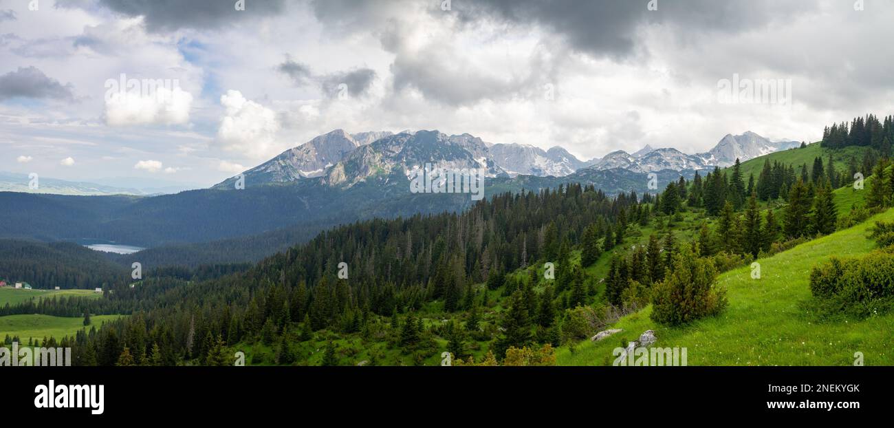 Black Lake zwischen dem dunklen Pinienwald und unter dem Bear Mountain, Durmitor Stockfoto