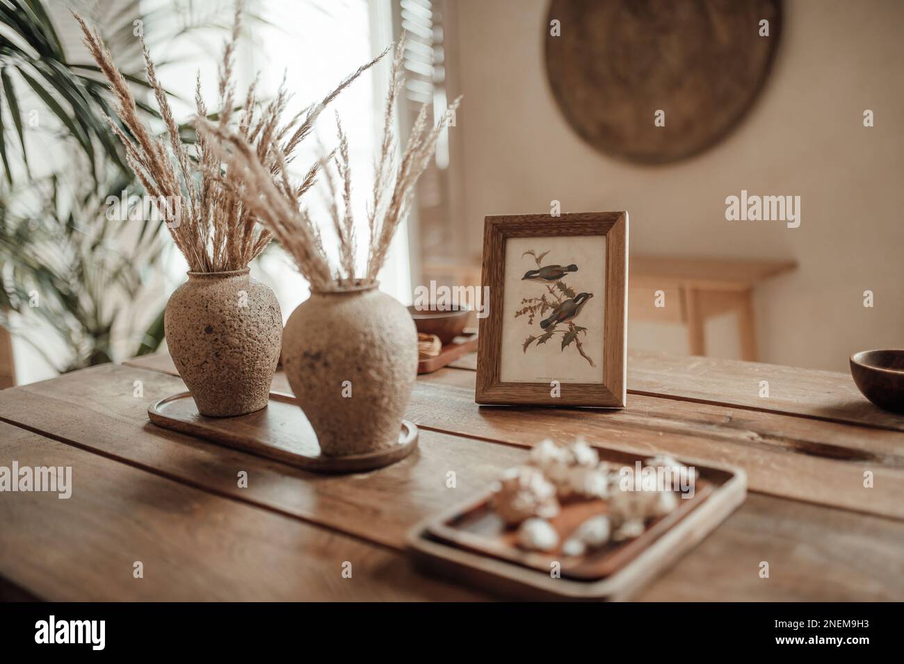 Sanfte einheimische Farbtöne, organische Formen, Wohnzimmerdesign und Holzakzente in neutralen Farbtönen. Grüne Palmenpflanzen beige Wände und Nischen verschiedene Größen Minima Stockfoto