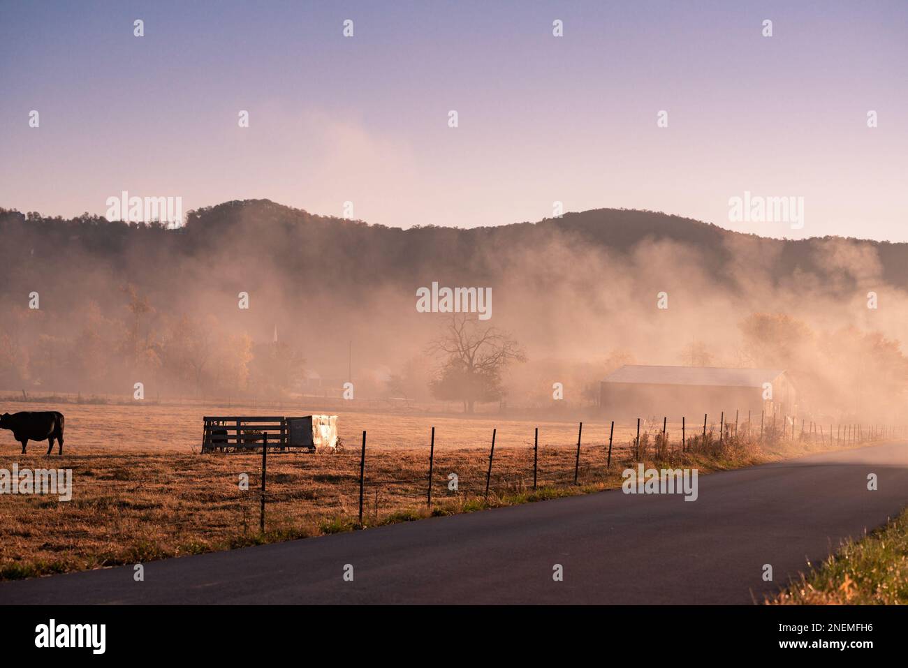 Morgennebel Stockfoto