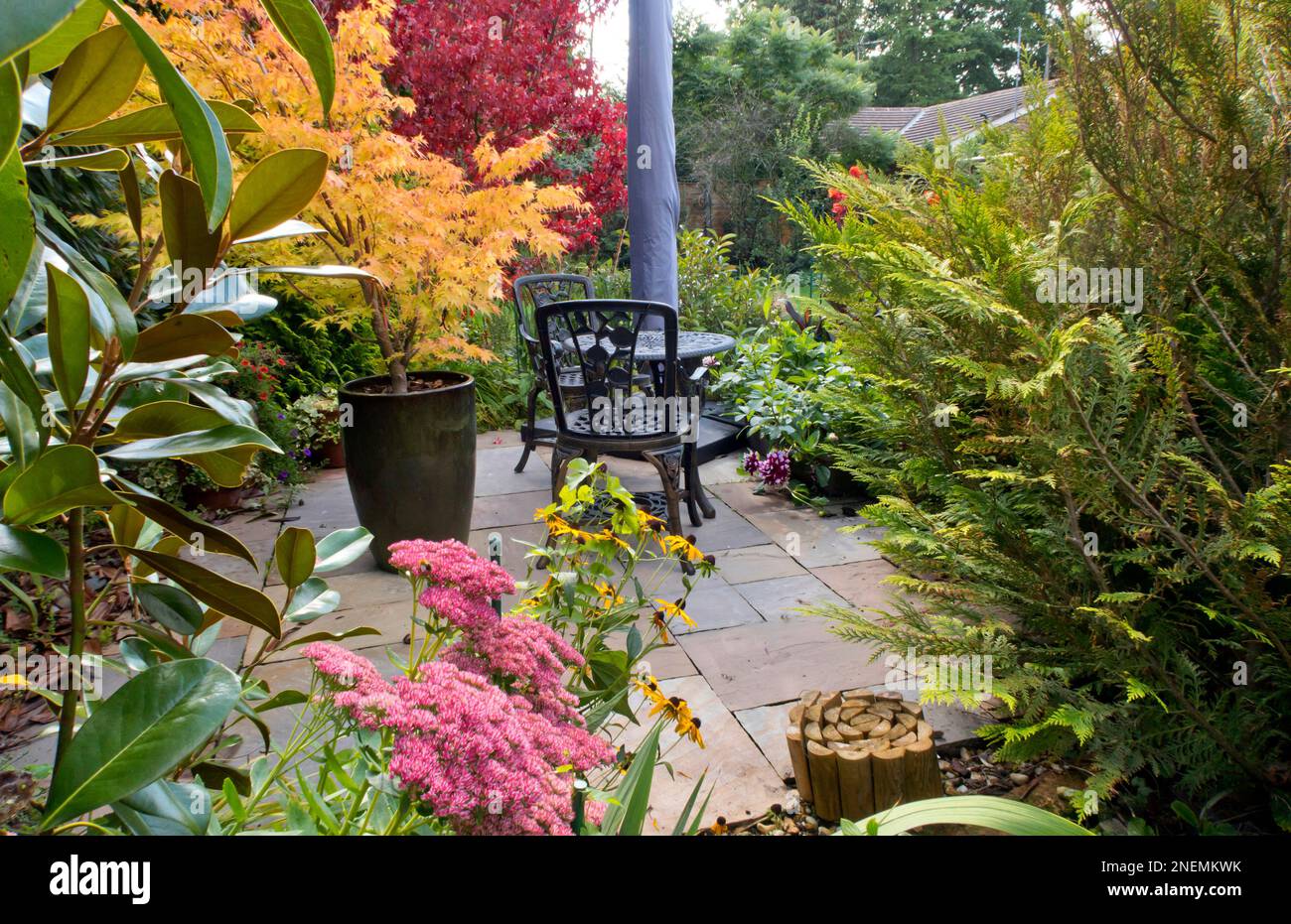 englischer Landhausgarten, September Stockfoto