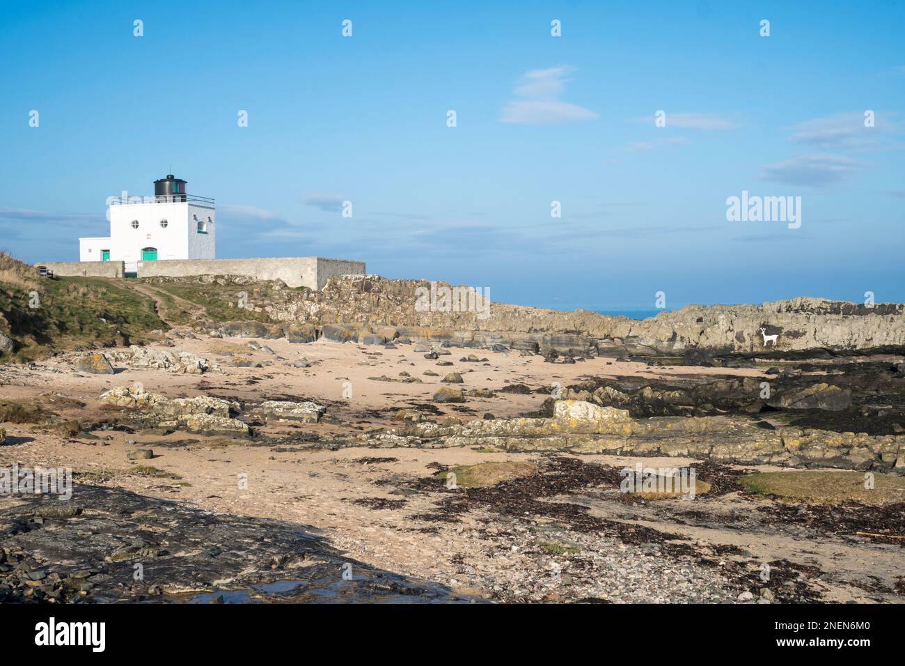 Lighthouse, Harkess Rocks, Bamburgh, Northumberland, England, UK Stockfoto