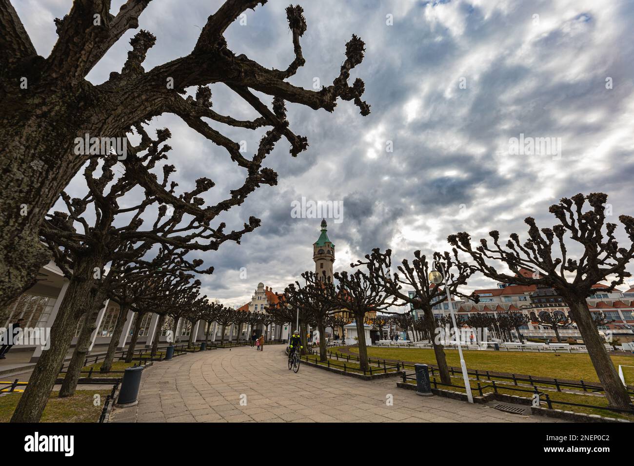 Sopot, Polen - April 2022: Kleiner Platz mit vielen kurvigen Bäumen und großer Pier am Meer neben dem Leuchtturm Stockfoto