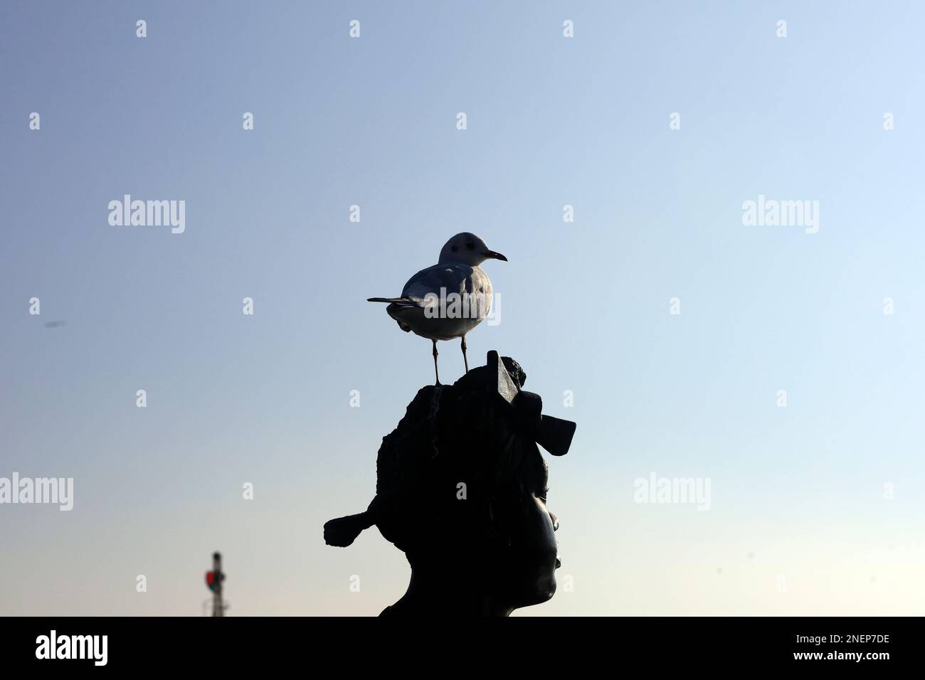 Details der Statue-Gruppe - Leute wie wir - in Cardiff Bay, Mermaid Quay. Frauenkopf in Silhouette mit Möwe. Cardiff. Februar 2023. Im Winter Stockfoto