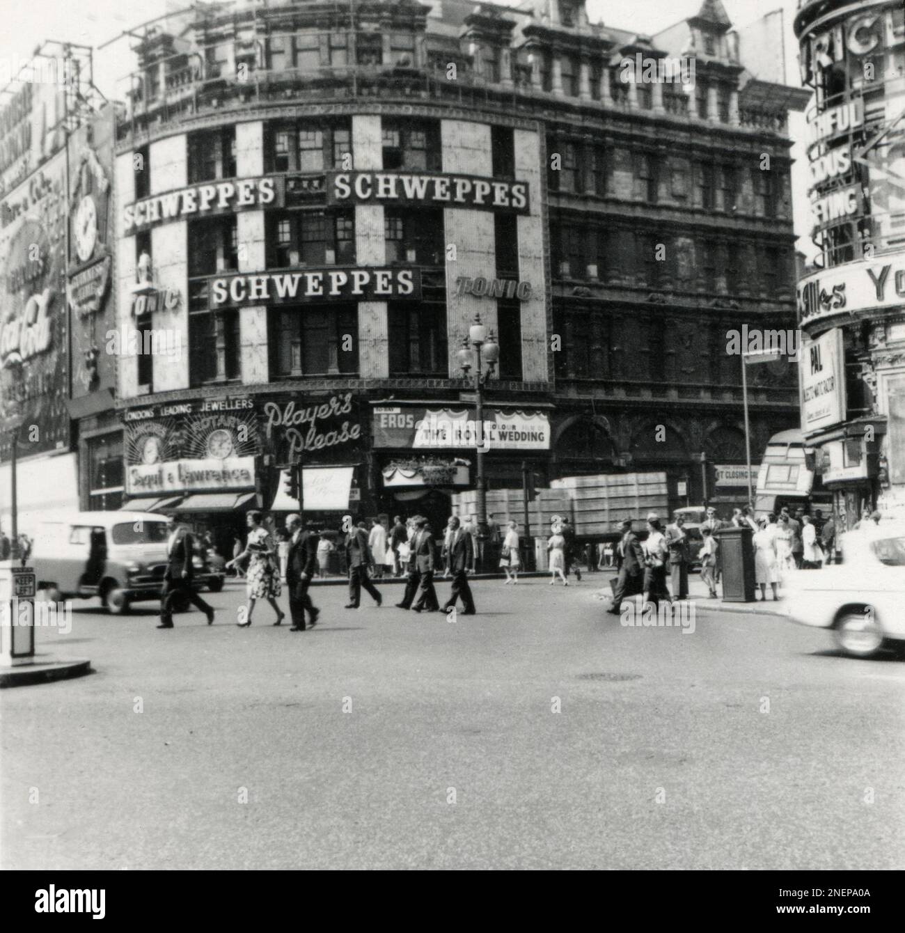 London, England. Etwa 1960. Eine belebte Straßenszene mit Piccadilly Circus im Londoner West End. Das Gebäude an der Ecke Shaftesbury Avenue ist mit einer Werbung für Schweppes Tonic Water dekoriert. Im Erdgeschoss befinden sich die Juweliere Saqui & Lawrence und das Eros/Classic Cartoon Cinema. Letztere zeigt den Film "die königliche Hochzeit". In anderen sichtbaren Werbespots werden Guinness, Coca-Cola, Player’s Cigarettes, Longines und Rotary Uhren beworben. Stockfoto