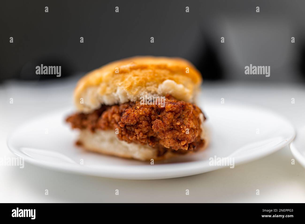 Hähnchen-Sandwich frittiertes knuspriges Fleisch auf Frühstückskeksen-Brötchen-Brot, frisches Fast Food auf einem weißen Hintergrund Küchentisch-Teller Makro-Nahaufnahme Stockfoto