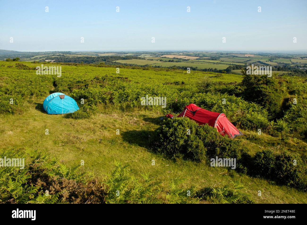 Wildes Camping im Dartmoor-Nationalpark Stockfoto