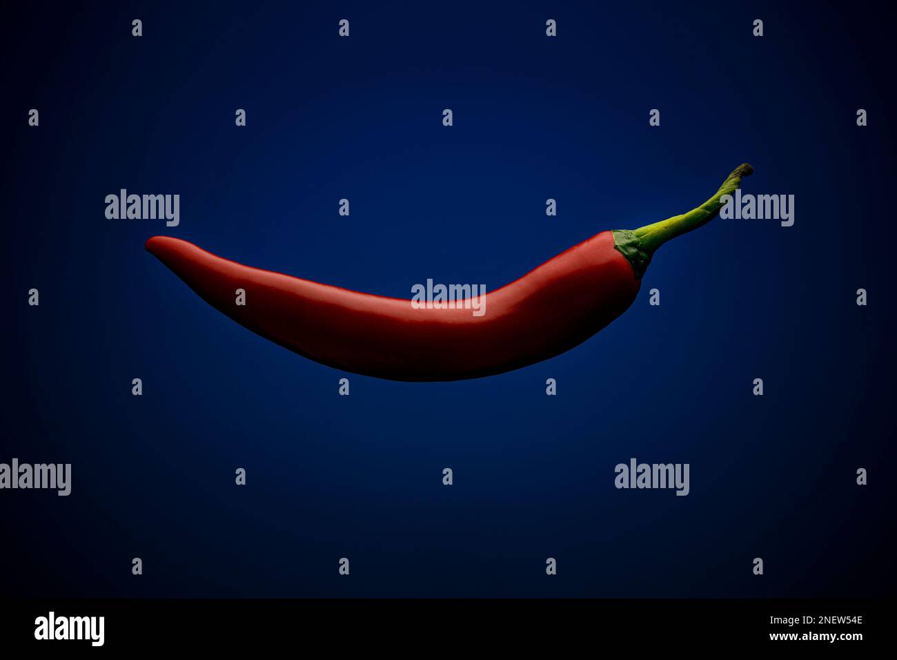 Chili auf blauem Hintergrund Stockfoto