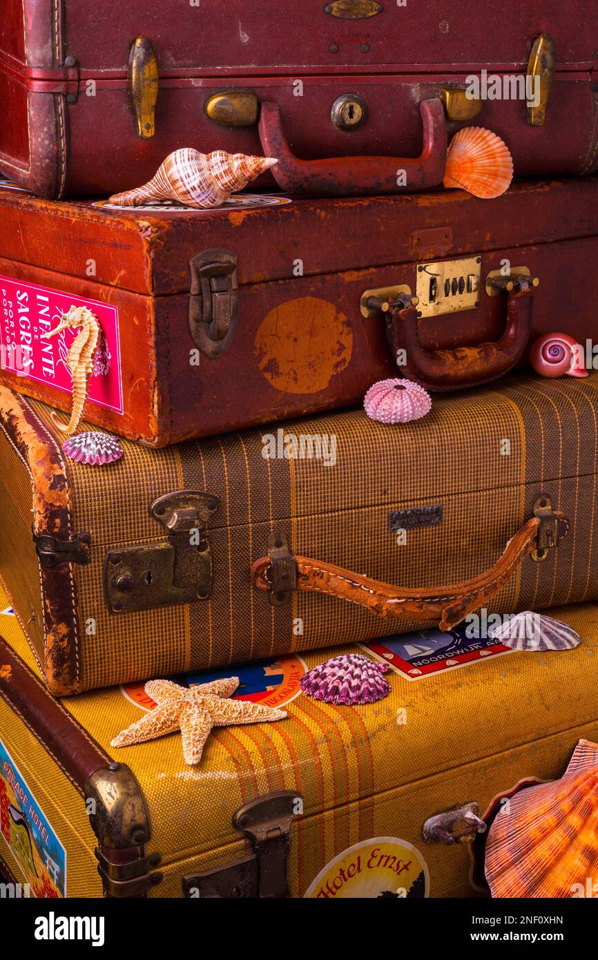 Alte Koffer Stockfoto