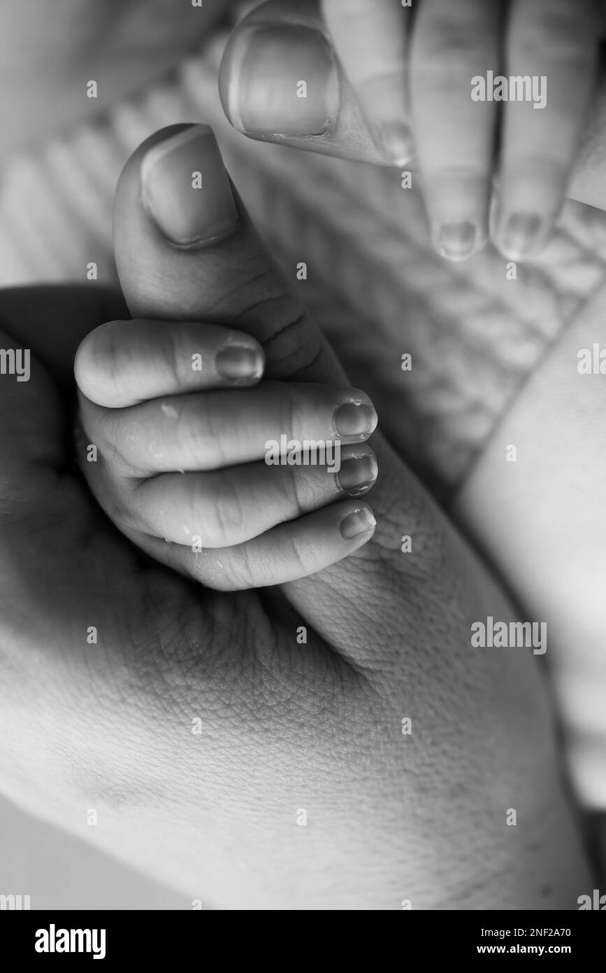 Das neugeborene Baby hat nach der Geburt einen festen Griff am Finger der Eltern. Stockfoto