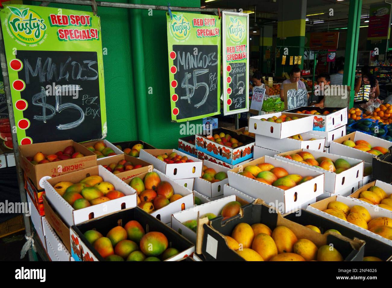 Billige Mangos zur Hauptsaison der Mango, Rusty's Markets, Cairns, Queensland, Australien. Kein MR oder PR Stockfoto