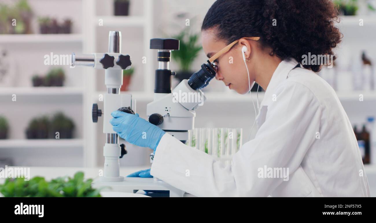 Bewertung von Teilen und Anwendungen neuer Pflanzenarten. Ein junger Wissenschaftler, der ein Mikroskop in einem Labor benutzt. Stockfoto