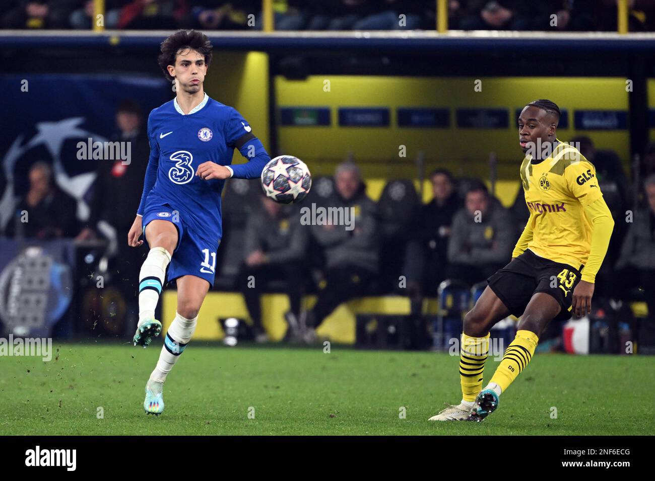 Dortmund, Deutschland. 15. Februar 2023. Fußball: Champions League, Borussia Dortmund - Chelsea FC London, Knockout-Runde, 16. Runde, erste Etappe, Signal Iduna Park. Dortmunds Jamie Bynoe-Gittens (r) und Chelsea's Joao Felix kämpfen um den Ball - Kredit: Federico Gambarini/dpa/Alamy Live News Stockfoto