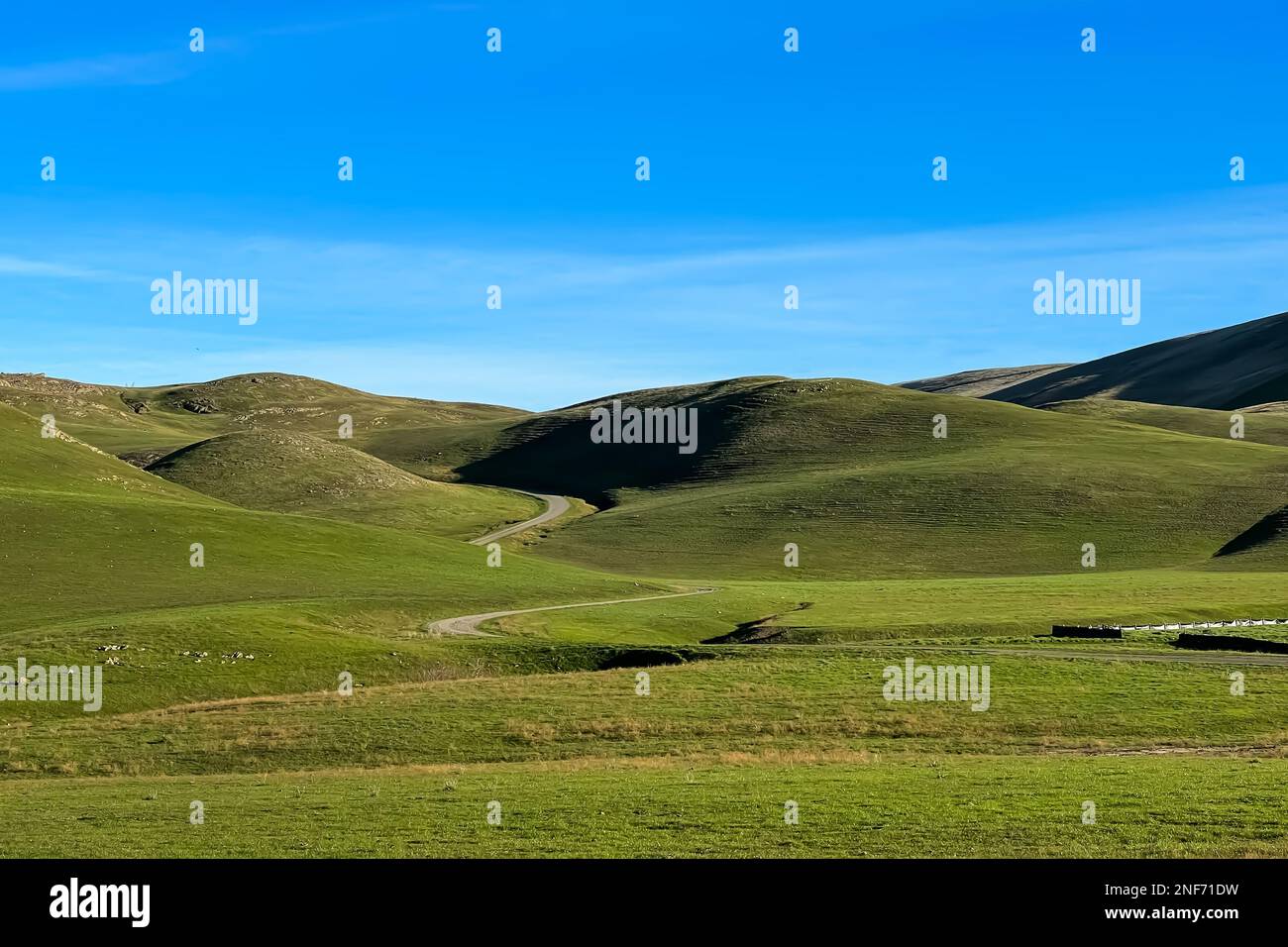 Hügel bedeckt mit frischem grünen Gras. Frühlingslandschaft Stockfoto