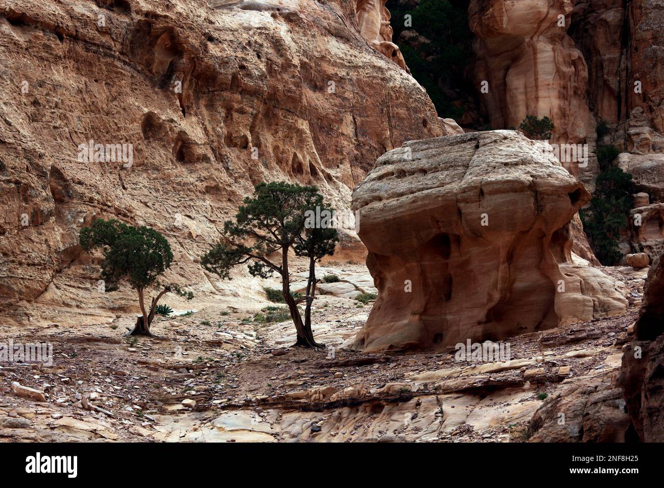 Am Löwentriklinium, verlassene Felsenstadt Petra, al-Batra, Hauptstadt des Reiches der Nabatäer, Jordanien / am Loewentriklinium, verlassener Felsen Stockfoto