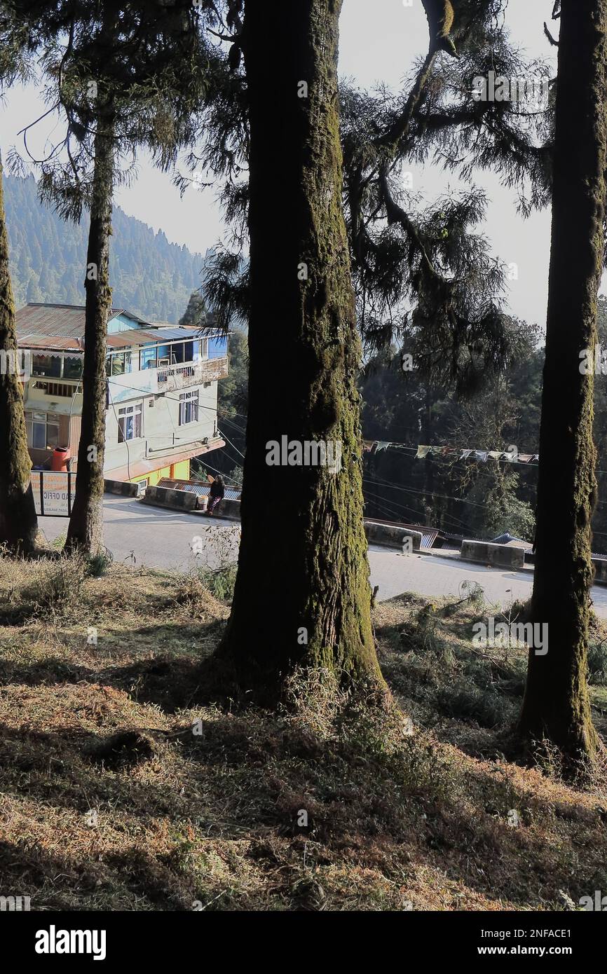 Das wunderschöne Bergdorf lepcha jagat befindet sich am himalaya-Vorgebirge in der Nähe von darjeeling in westbengalen, indien Stockfoto