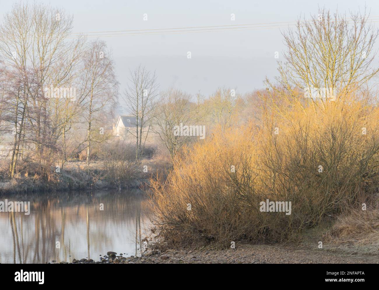 River South Tyne bei Haltwhistle im Winter Stockfoto