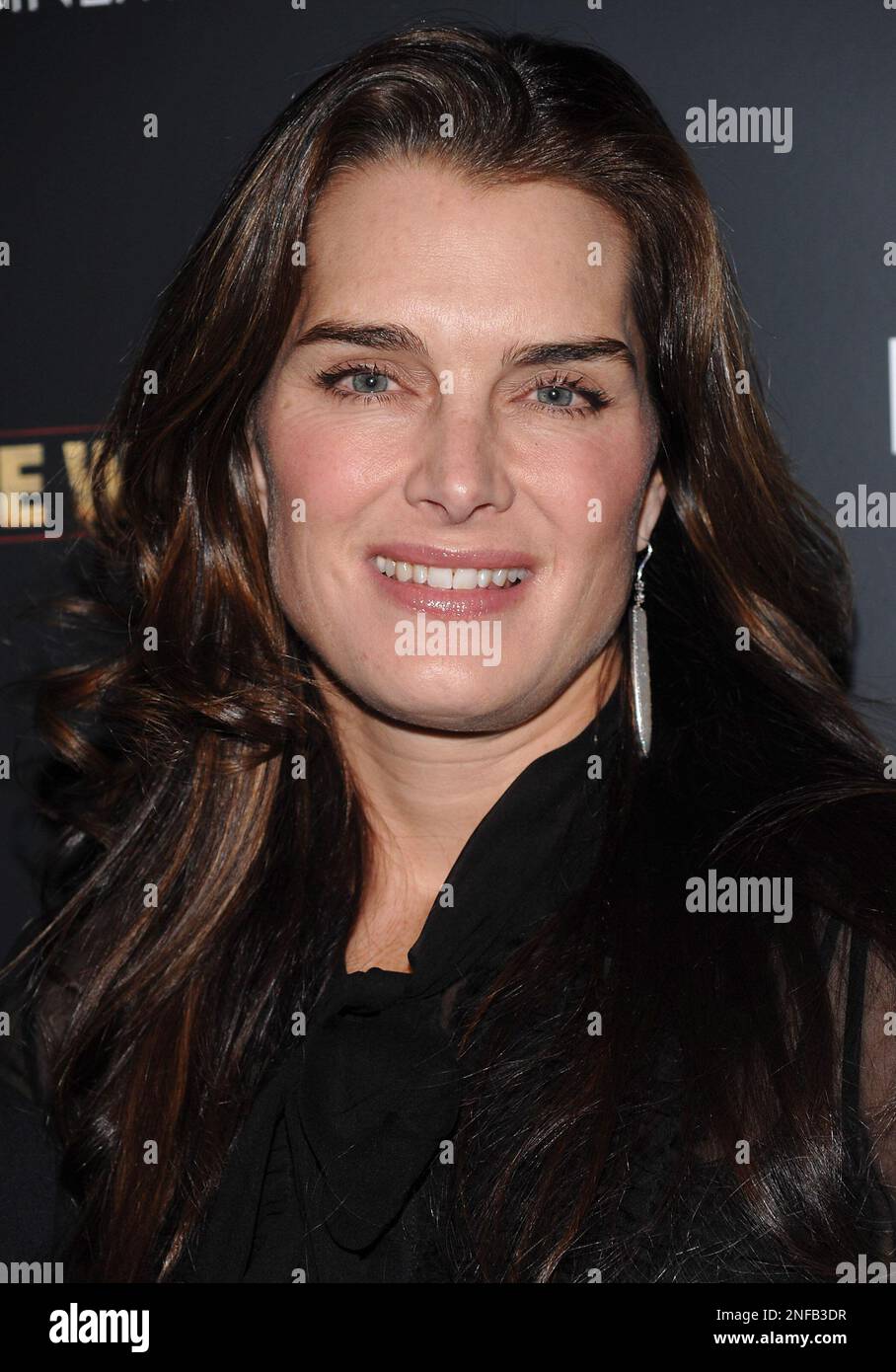 Actress Brooke Shields attends a screening of 'The Wrestler' hosted by The Cinema Society and Entertainment Weekly at the Tribeca Grand Hotel on Monday, Dec. 8, 2008 in New York. (AP Photo/Evan Agostini) Stockfoto